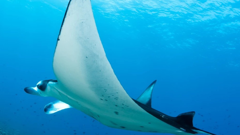 Фотография 2