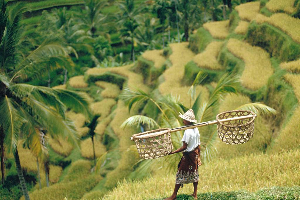 Ouvrir la galerie Escapade à Bali Photos à la photo 3
