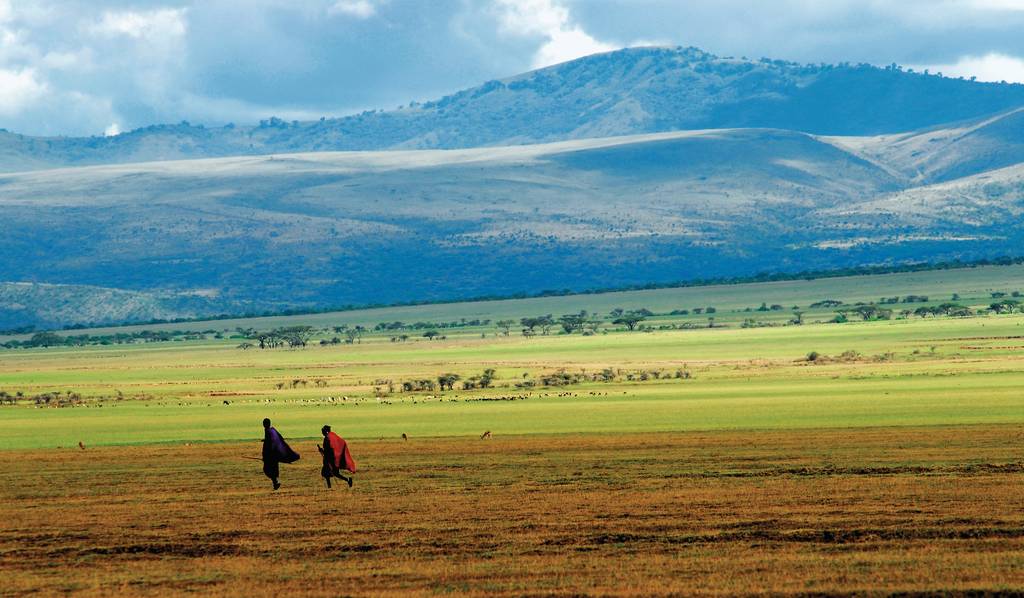 Ouvrir la galerie défilante de Safari des grands espaces Photos à 4