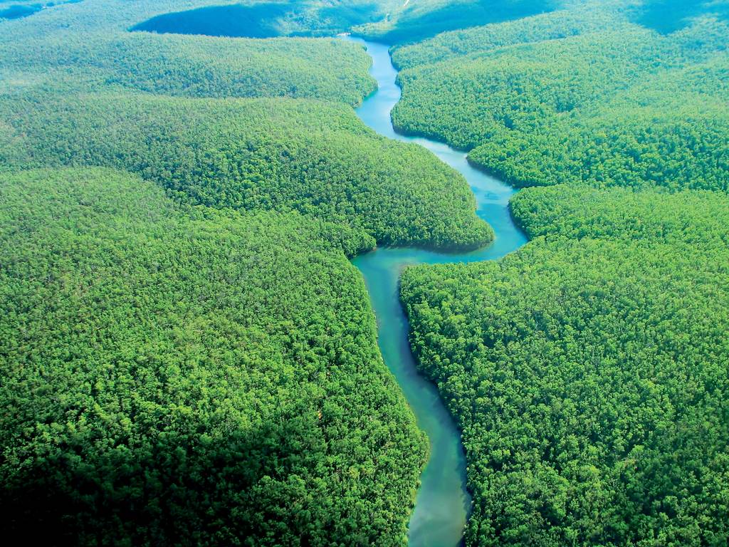 Ouvrir la galerie défilante de Brésil tropical Photos à 5
