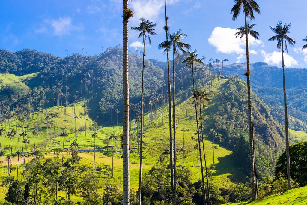 Holà Colombia