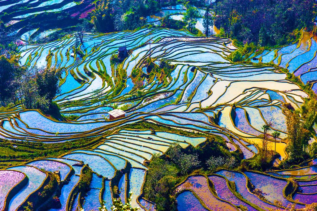 Ouvrir la galerie défilante de Yunnan et Shangri-La Photos à 5
