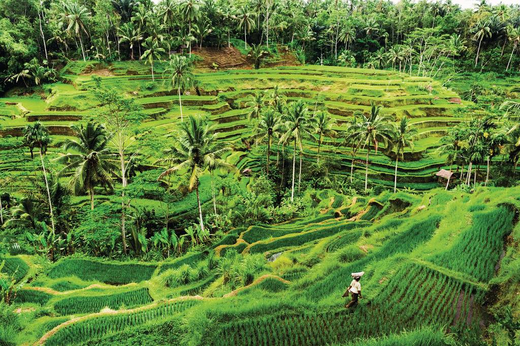 Ouvrir la galerie défilante de Escapade à Bali Photos à 5