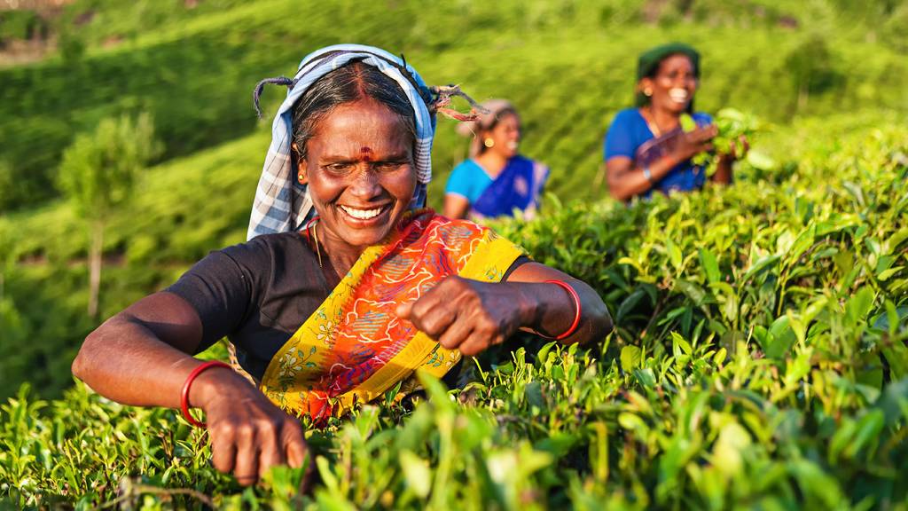 Sourires du Sri Lanka