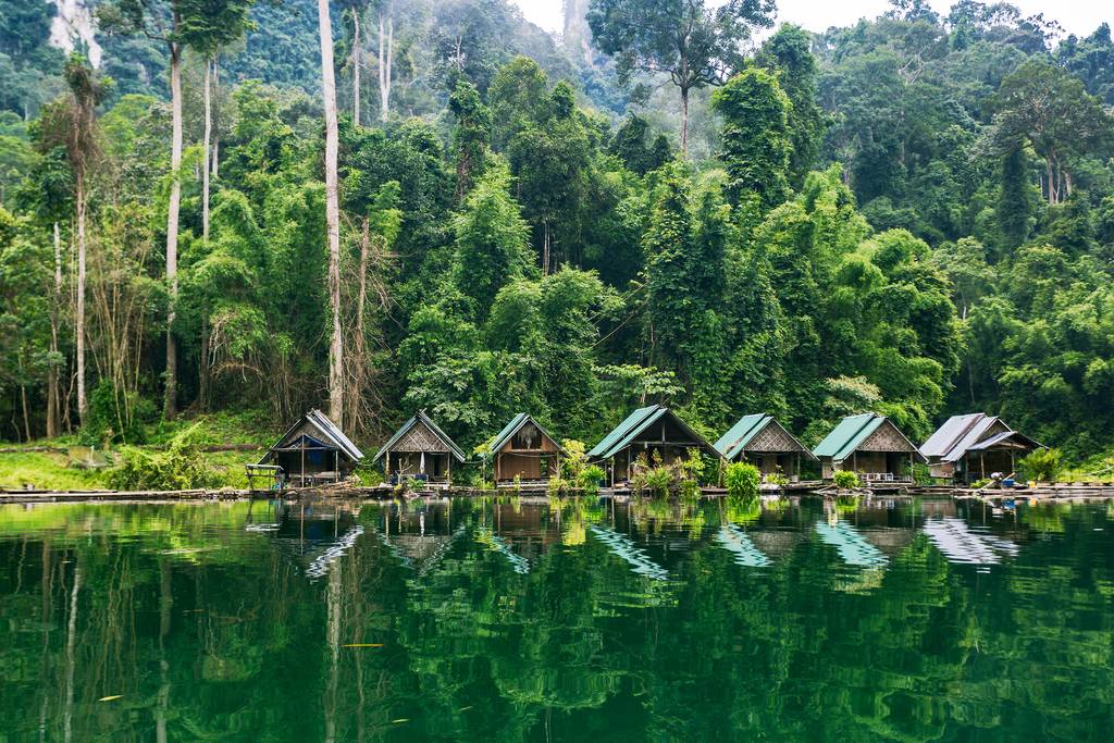 Ouvrir la galerie Escapade nature à Khao Sok Photos à la photo 3