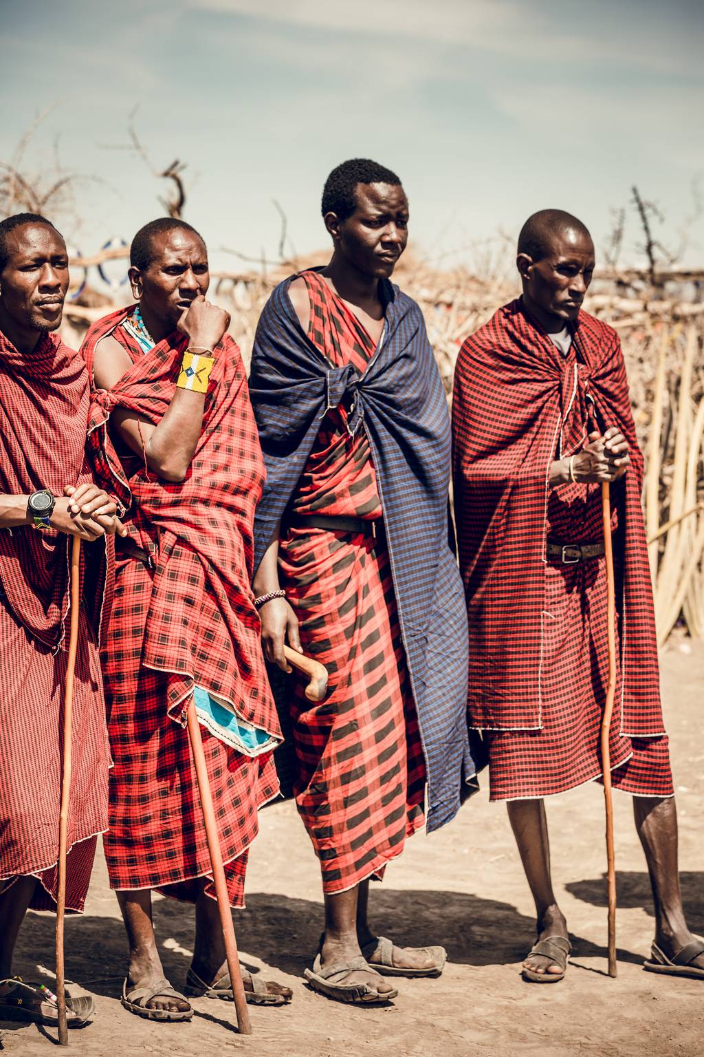 Les plaines de Tanzanie