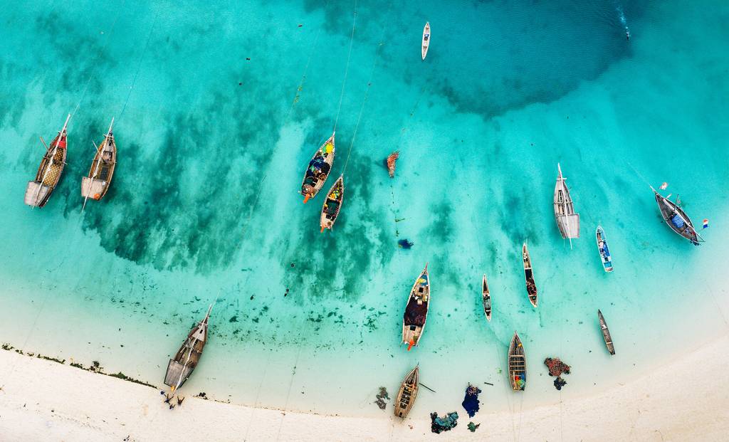 Ouvrir la galerie défilante de Safari des grands espaces Photos à 5