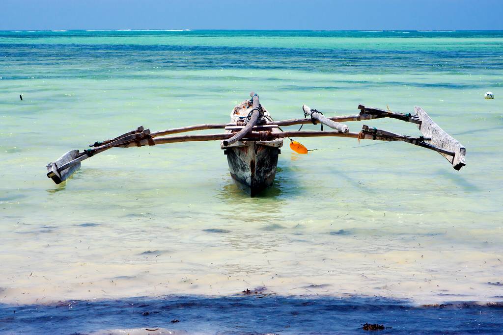 Ouvrir Les plaines de Tanzanie Photos la galerie photo de 5