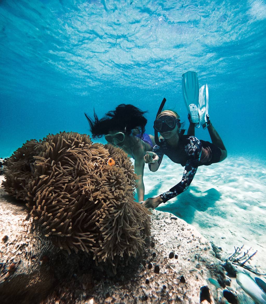 Kani, Мальдивы