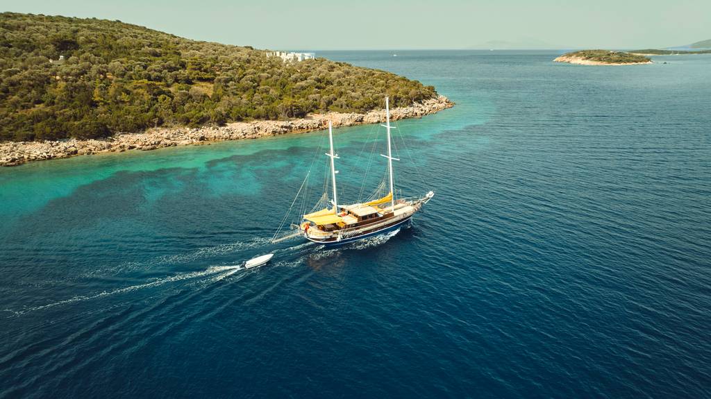 Bodrum Palmiye