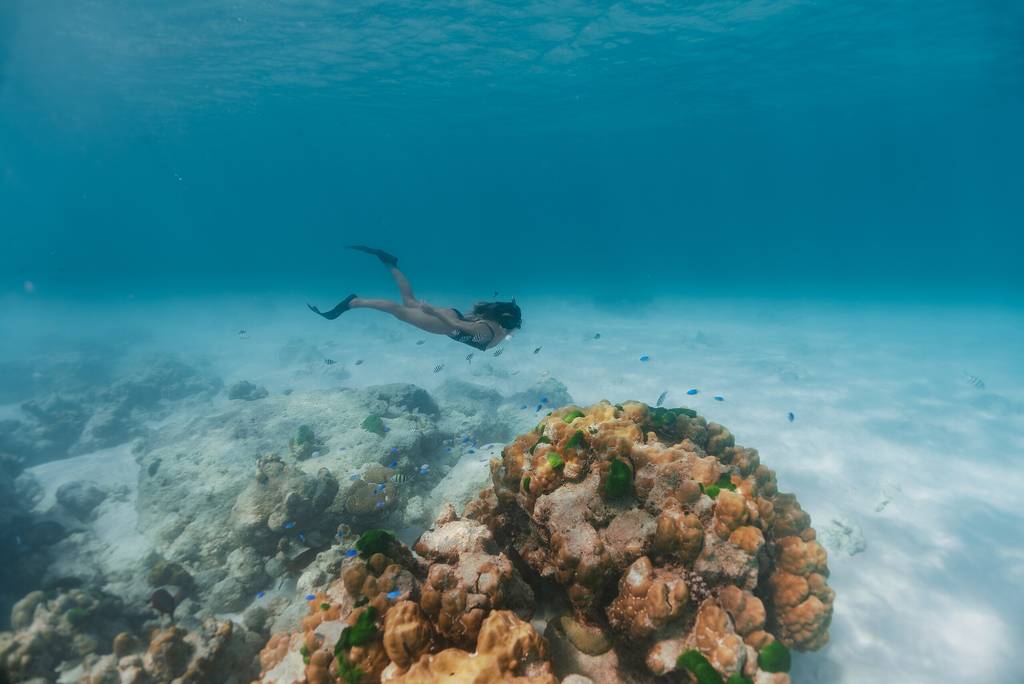 Ouvrir la galerie Joyaux des Seychelles Photos à la photo 3