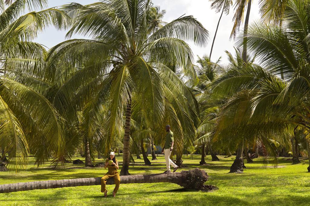 Open Les Boucaniers Photos slideshow gallery at 4