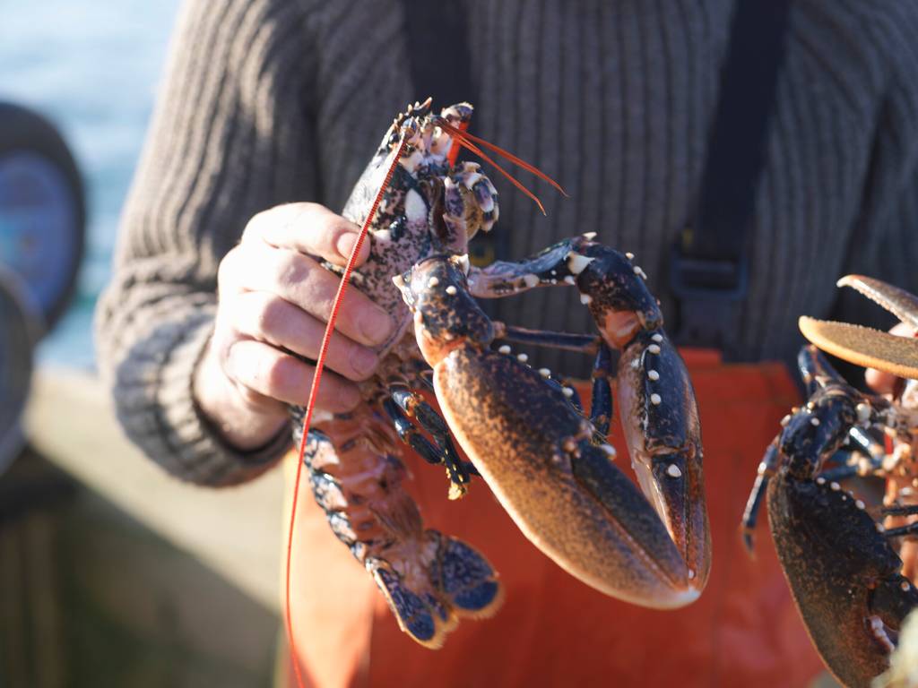 Québec, Gaspésie et îles de la Madeleine
