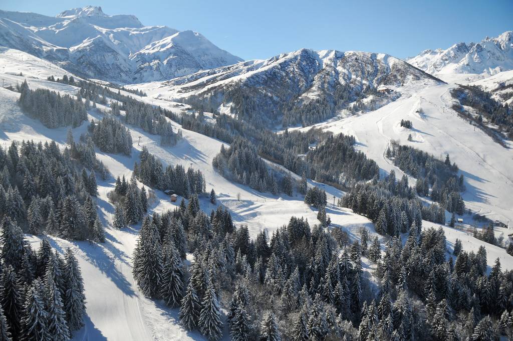 Les Appartements-Chalets de Valmorel