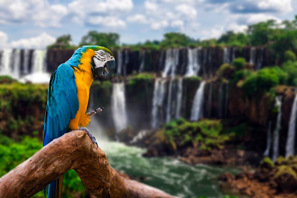 Escapade à Iguazù 