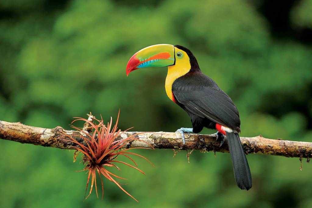 Ouvrir la galerie défilante de Natura verde Photos à 4
