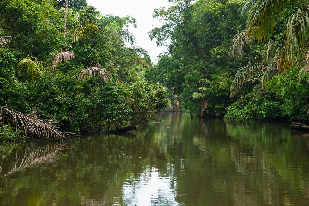 Ouvrir la galerie défilante de Natura verde Photos à 5