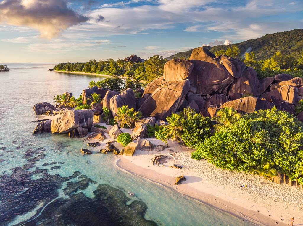 Joyaux des Seychelles