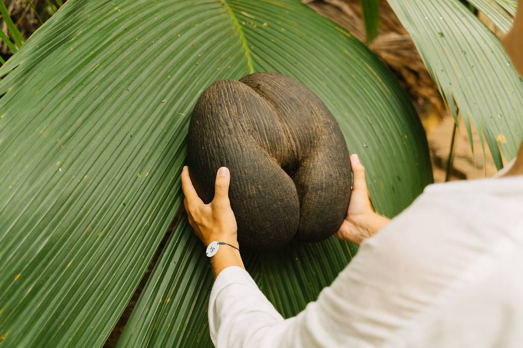 Ouvrir la galerie défilante de Escapade à Praslin Photos à 3