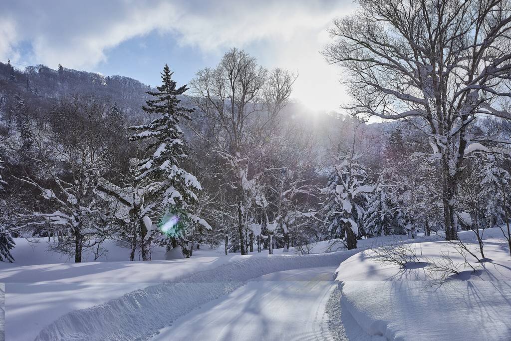 Les plus beaux endroits où faire du ski de fond au Canada - Équipe Canada