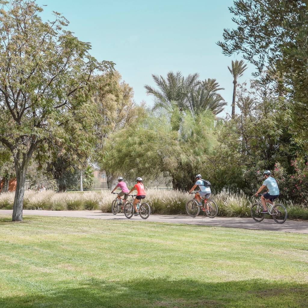 Gravel bike