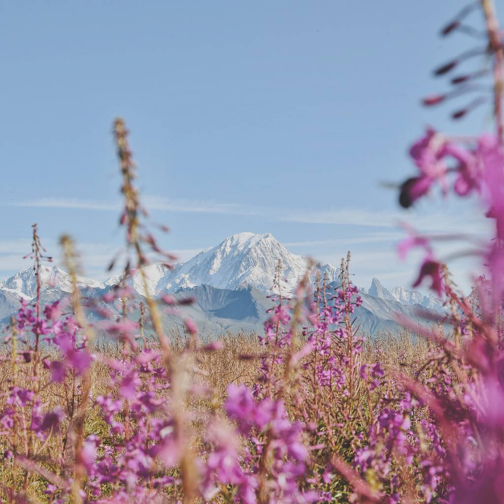 Alpen
