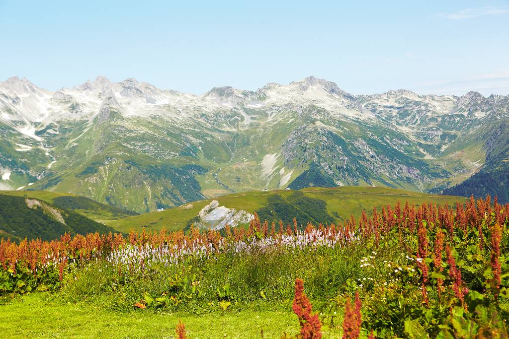 Why choose the Alps for your next summer adventure