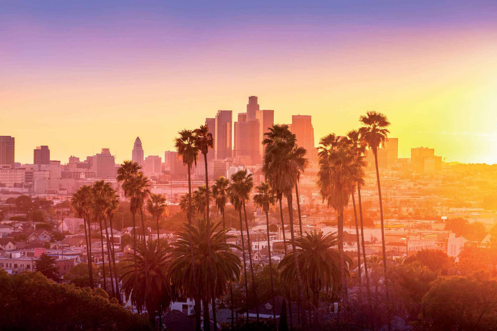 Grands Parcs et Californie