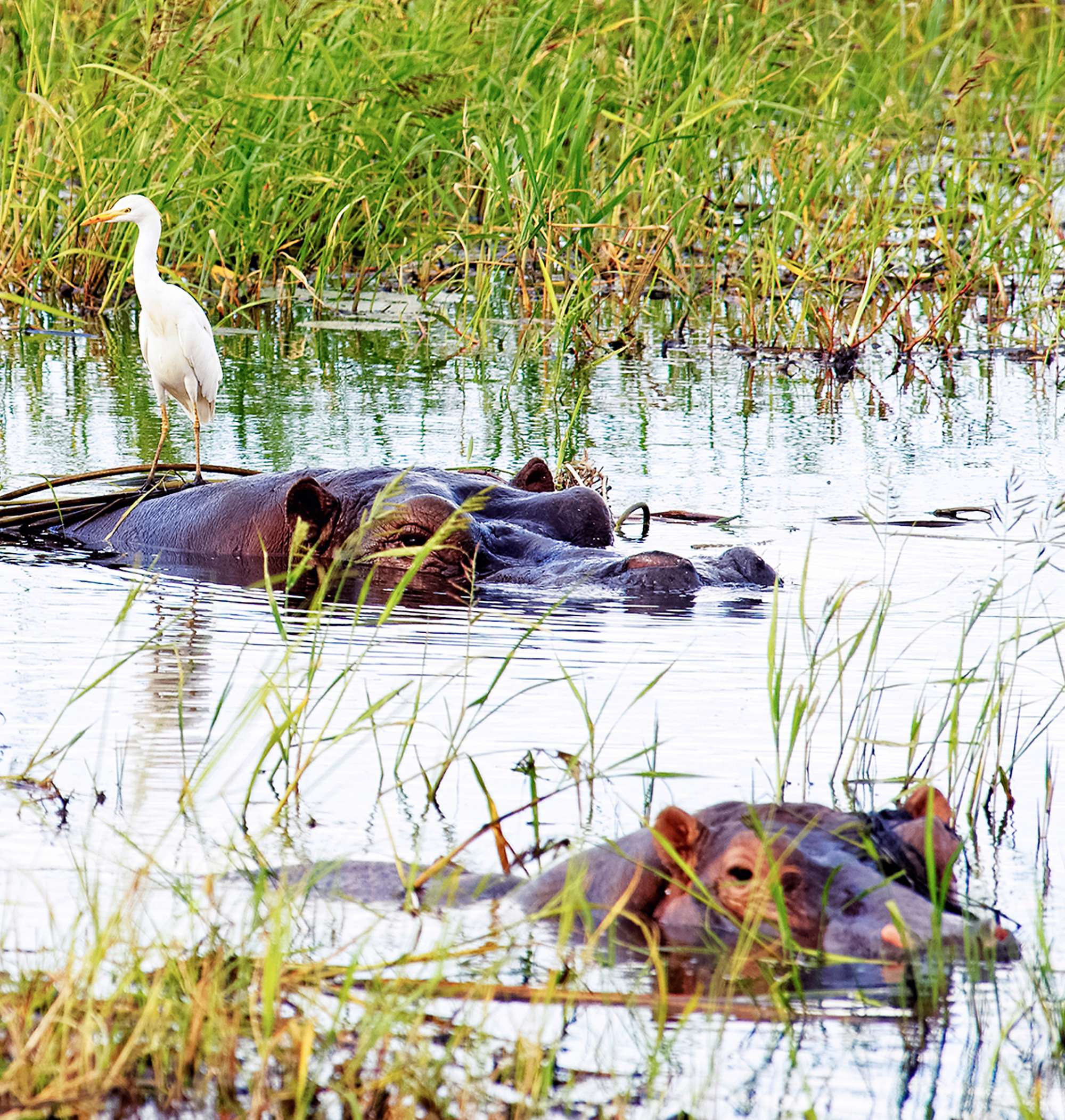 Réserves au fil de l'eau