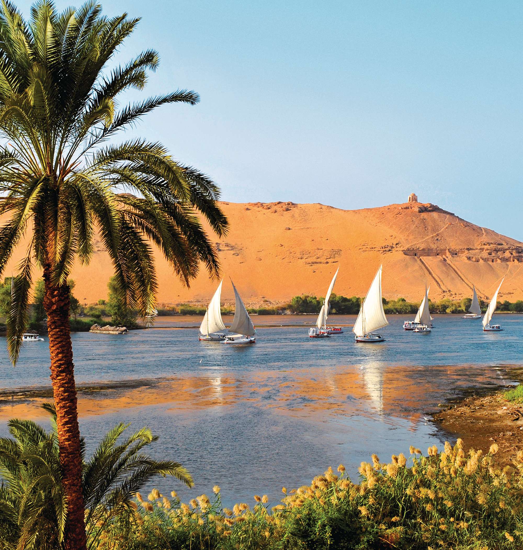 Ramsès II