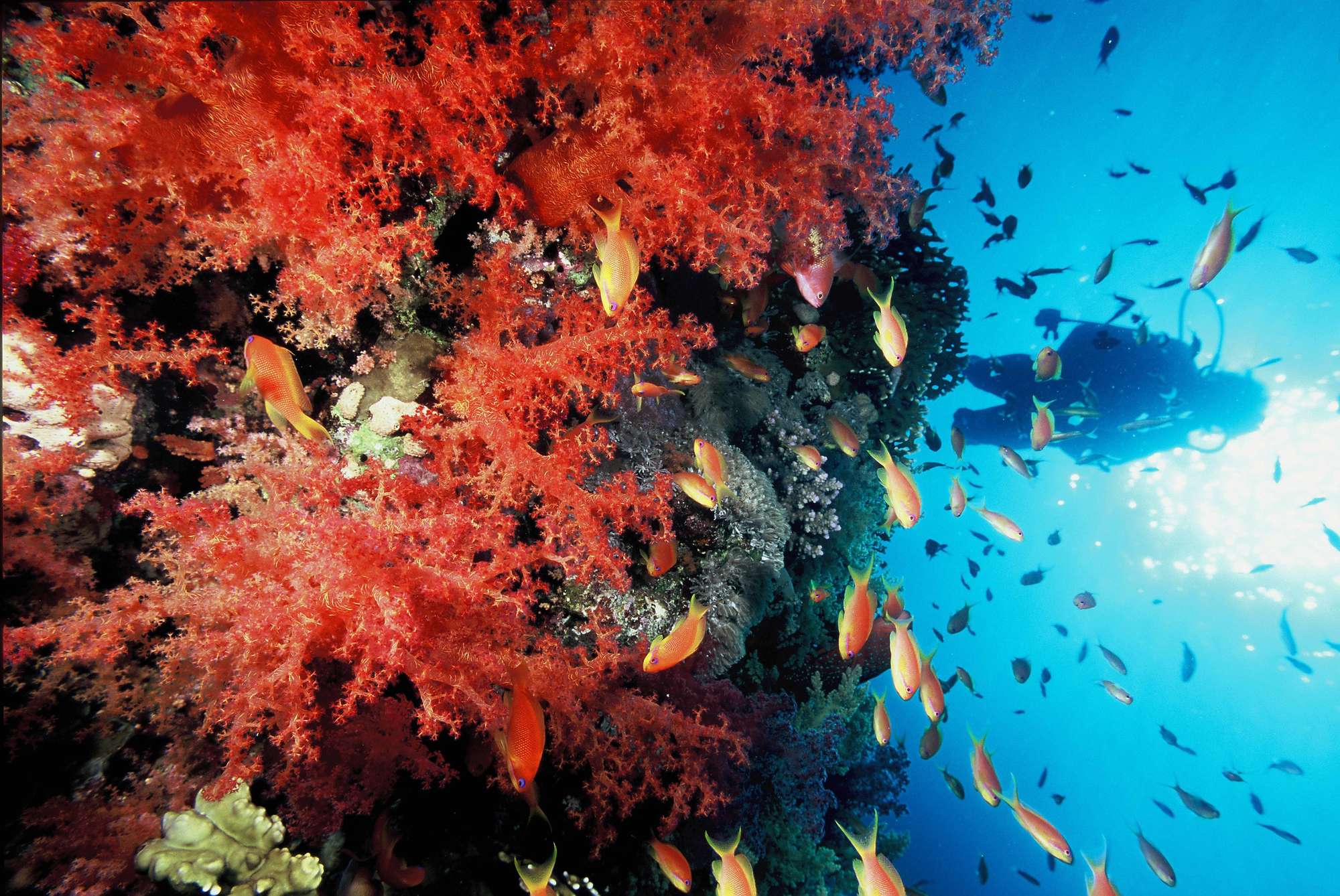 Club Med Columbus Isle - Image 15