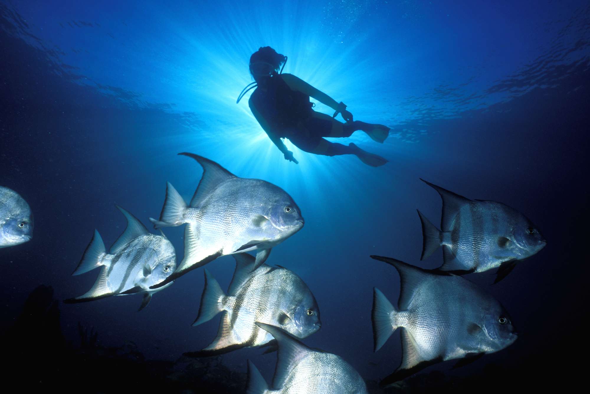 Club Med Columbus Isle - Image 16