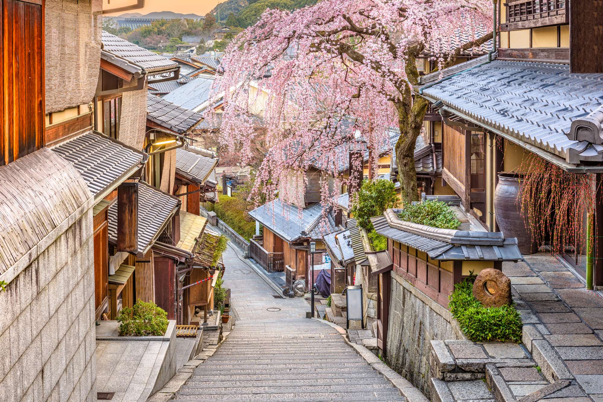 15 jours au Japon que voir pendant vos vacances ? Club Med