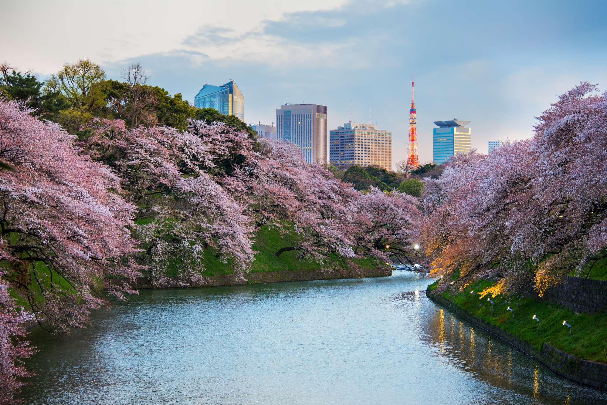 15 jours au Japon que voir pendant vos vacances ? Club Med