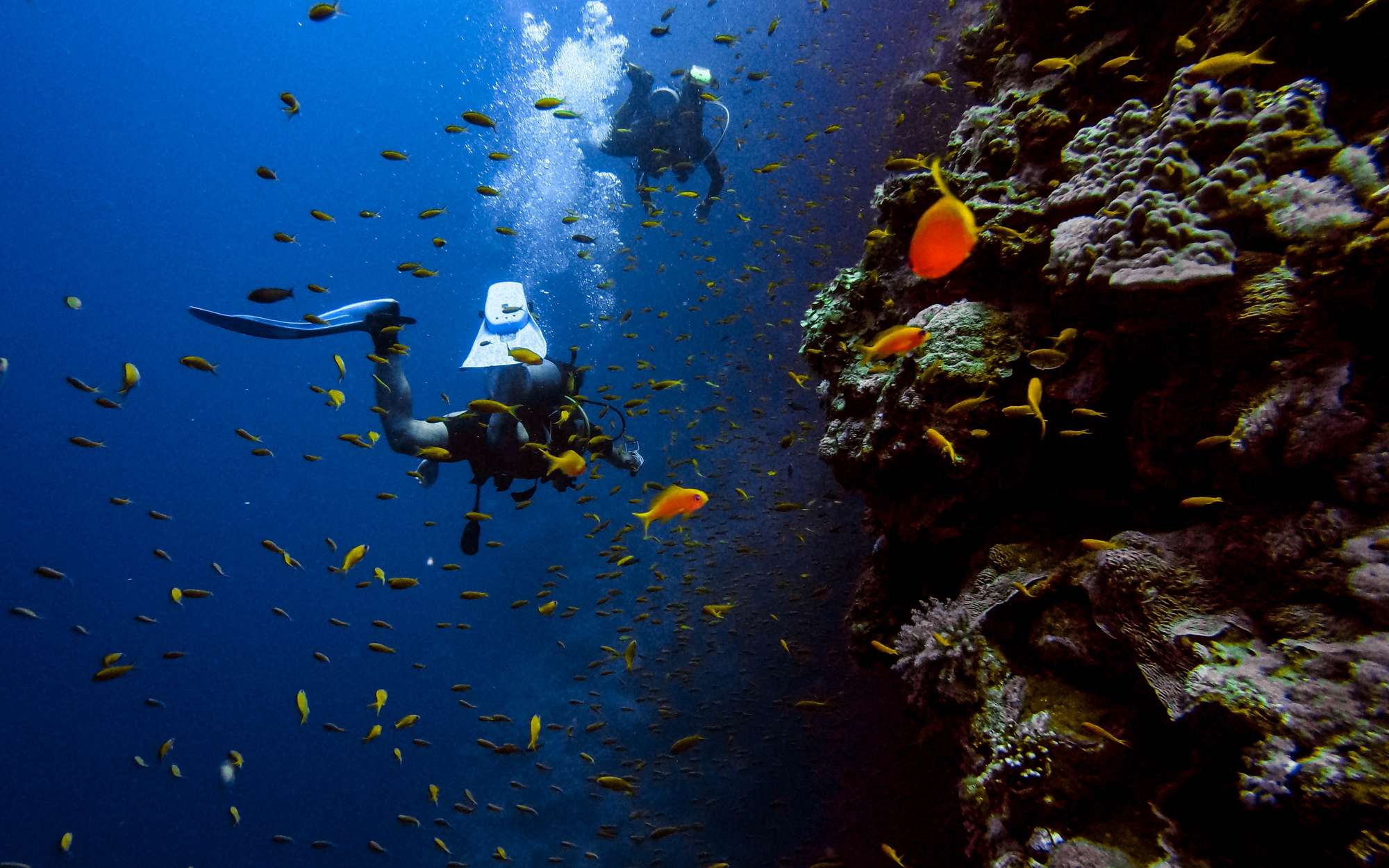 Your Guide to Scuba Diving in The Maldives