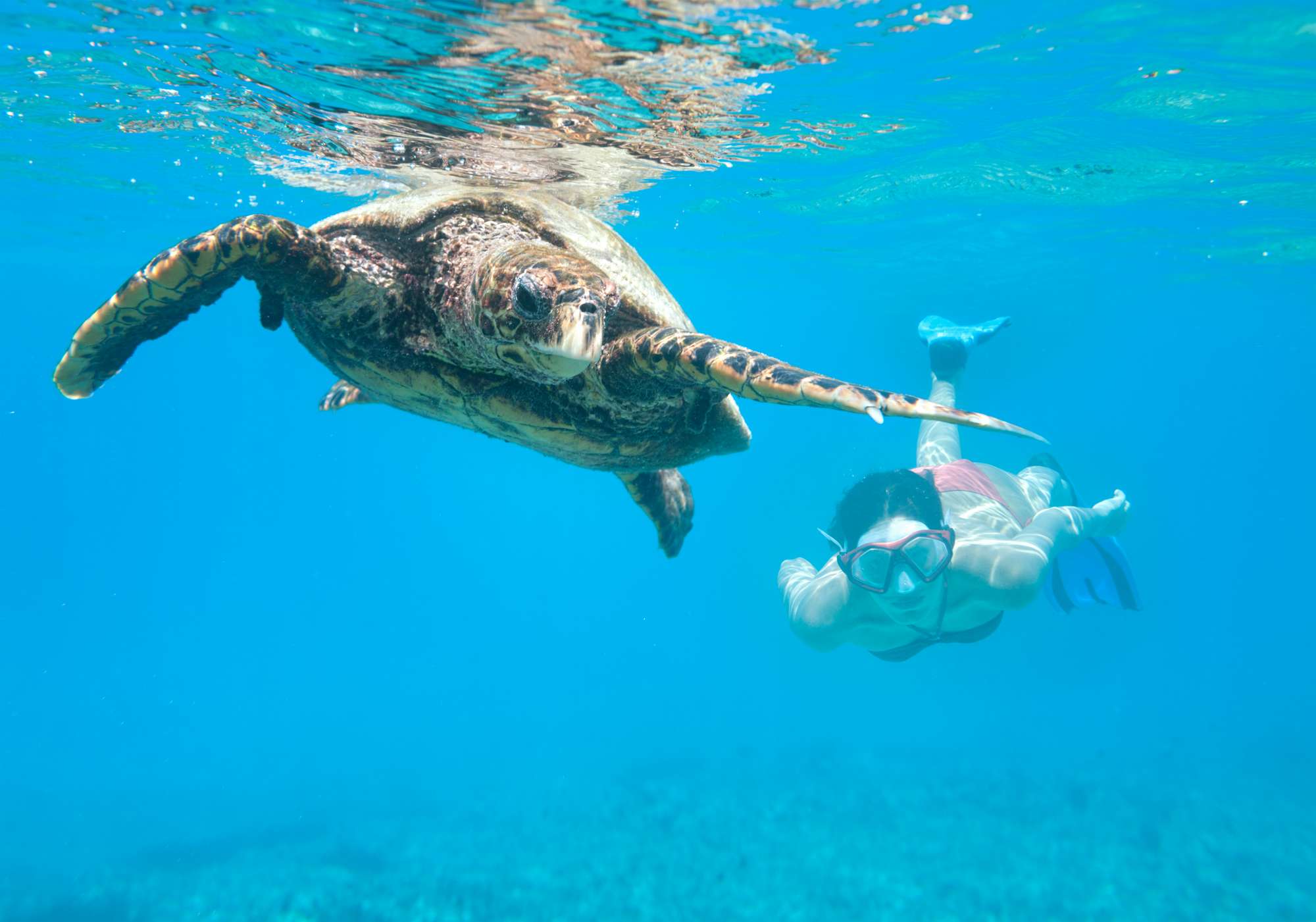 Best Scuba Diving Sites in Seychelles Club Med