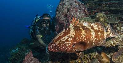 Learning To Scuba Dive Advice From A Professional Diver