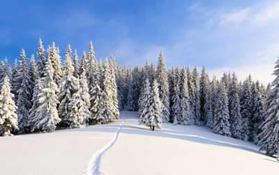 Les Plus Belles Randonnees A Faire En Hiver Club Med
