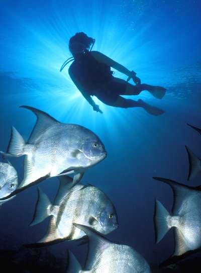 One of the world's top diving spots