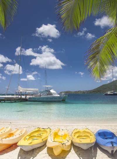 Kayak through the mangroves