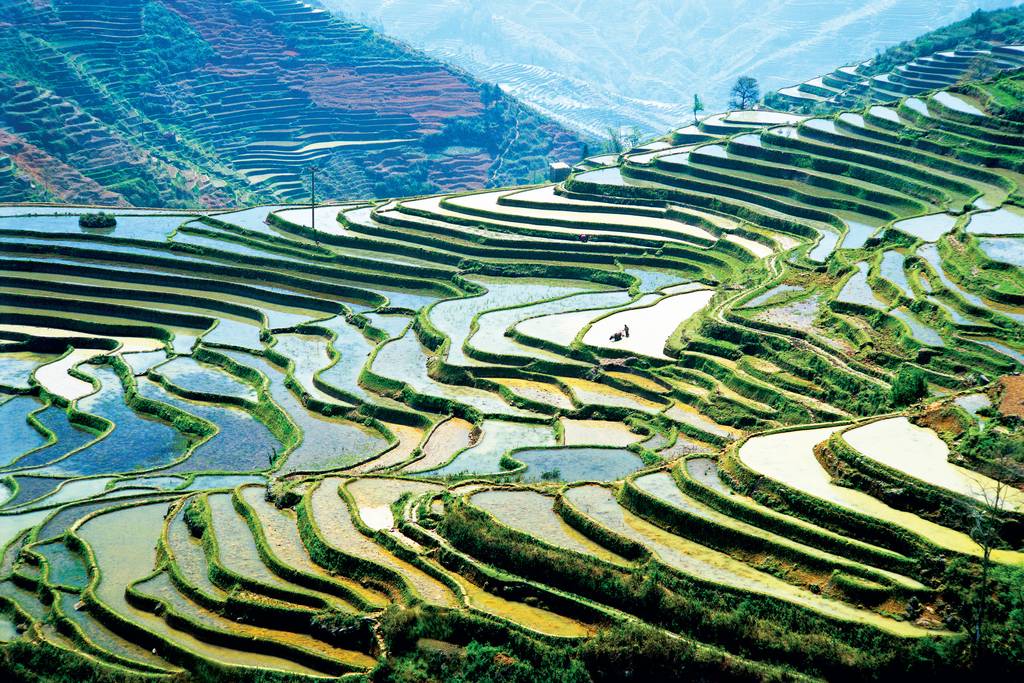 Ouvrir Yunnan et Shangri-La Photos la galerie photo de 1
