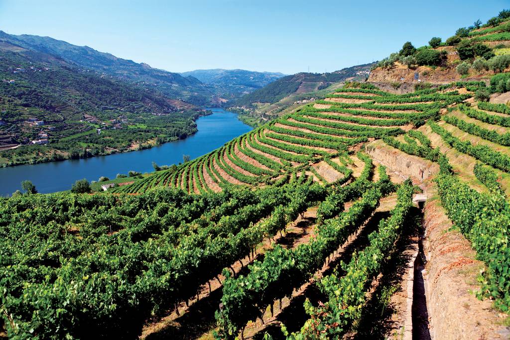 Balade entre Douro et Fado