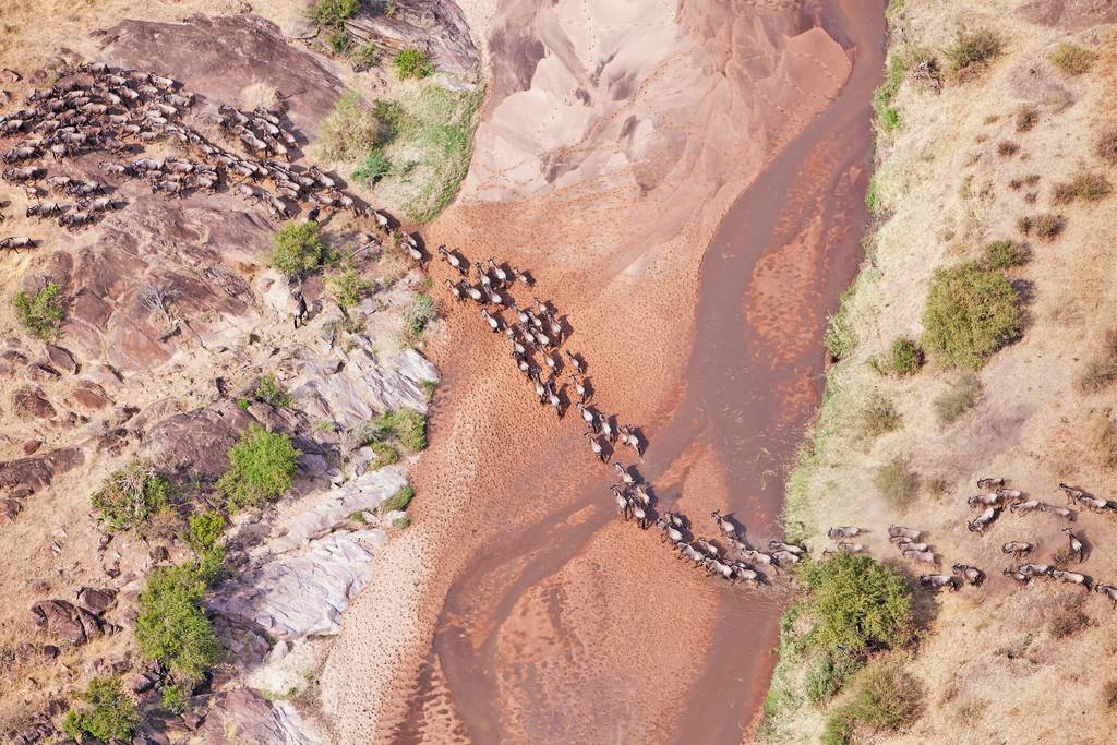 Kenya terre sauvage