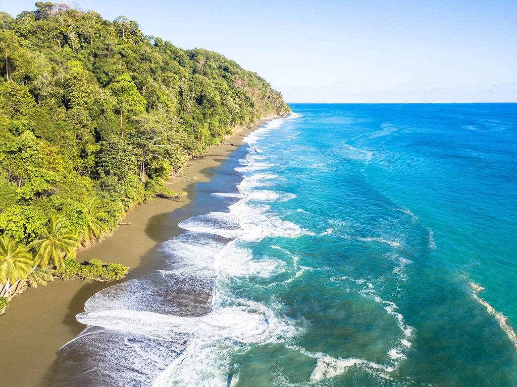 Natura verde