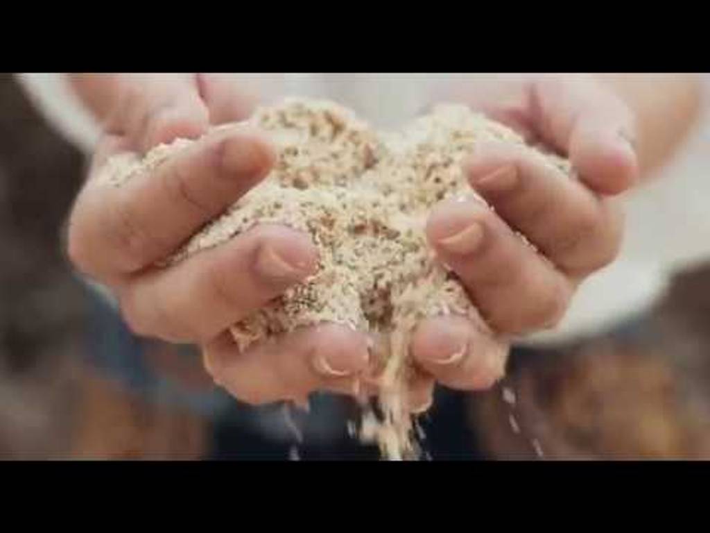Open Kabira Ishigaki videos slideshow gallery at 1