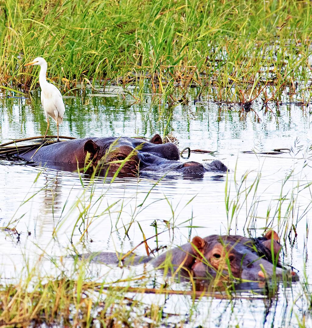 Réserves au fil de l'eau