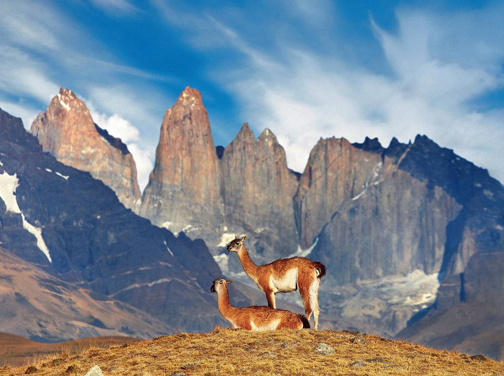 Patagonie et croisière au bout du monde