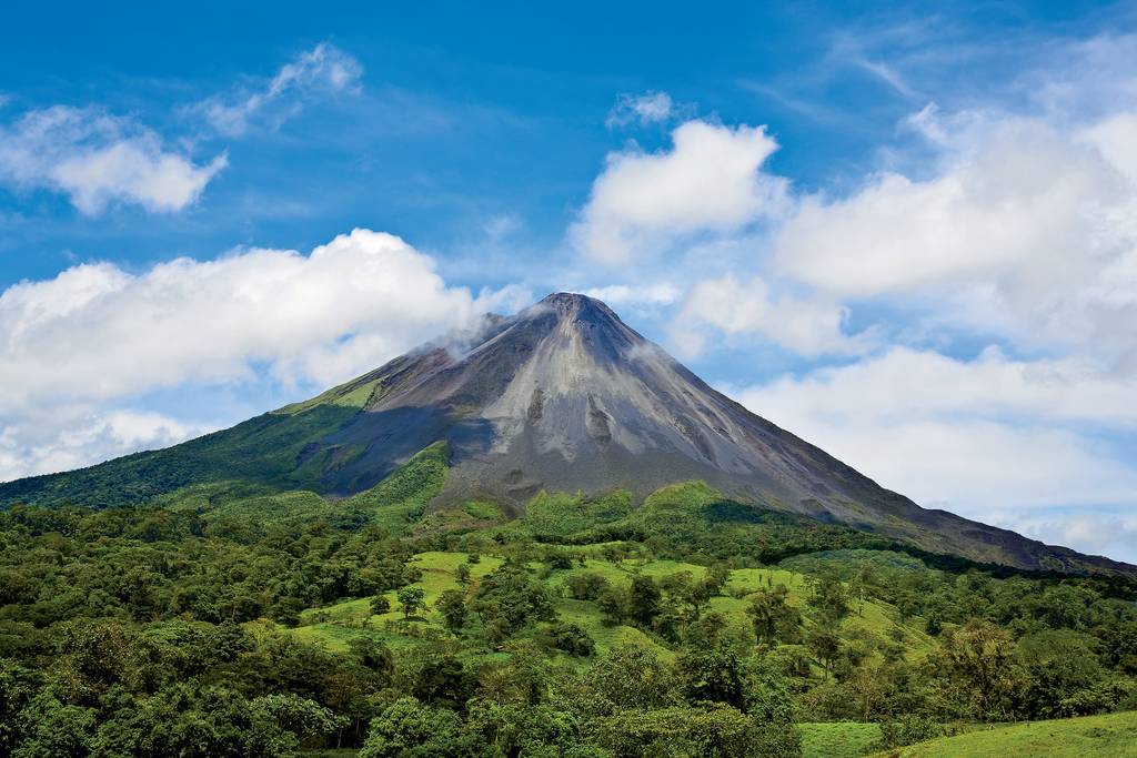 Natura verde