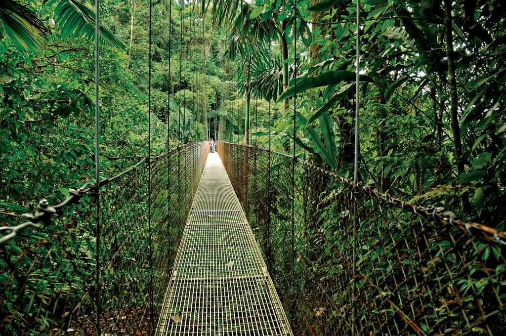 Natura verde