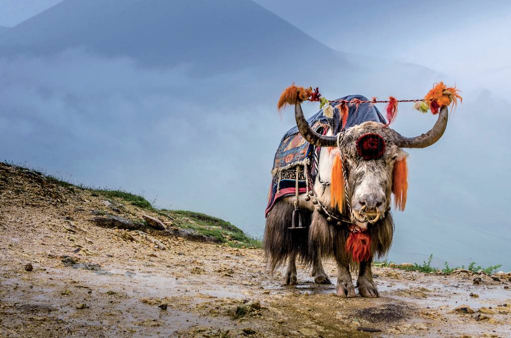 Yunnan et Shangri-La
